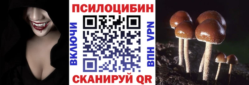 цены   Томск  Псилоцибиновые грибы Psilocybe 