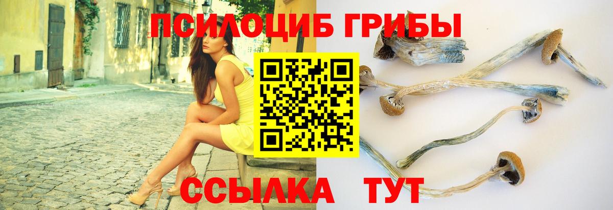 Россия  Псилоцибиновые грибы Magic Shrooms  Вход с VPN  купить наркотик  Псилоцибиновые грибы прущие грибы 