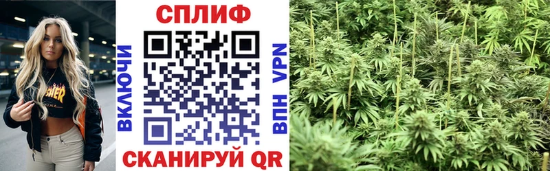 Канабис конопля  Томск 